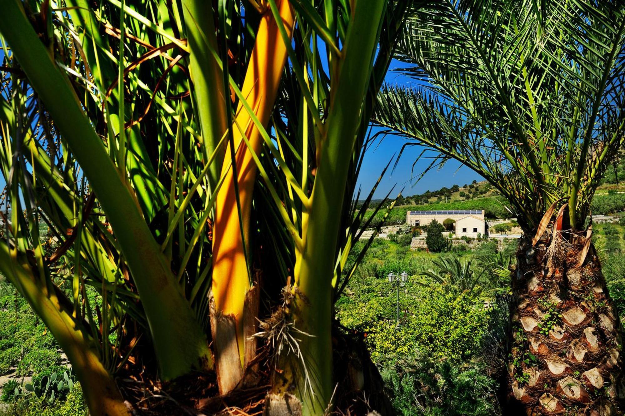 Kallikoros Country Resort & Spa Noto Exterior photo
