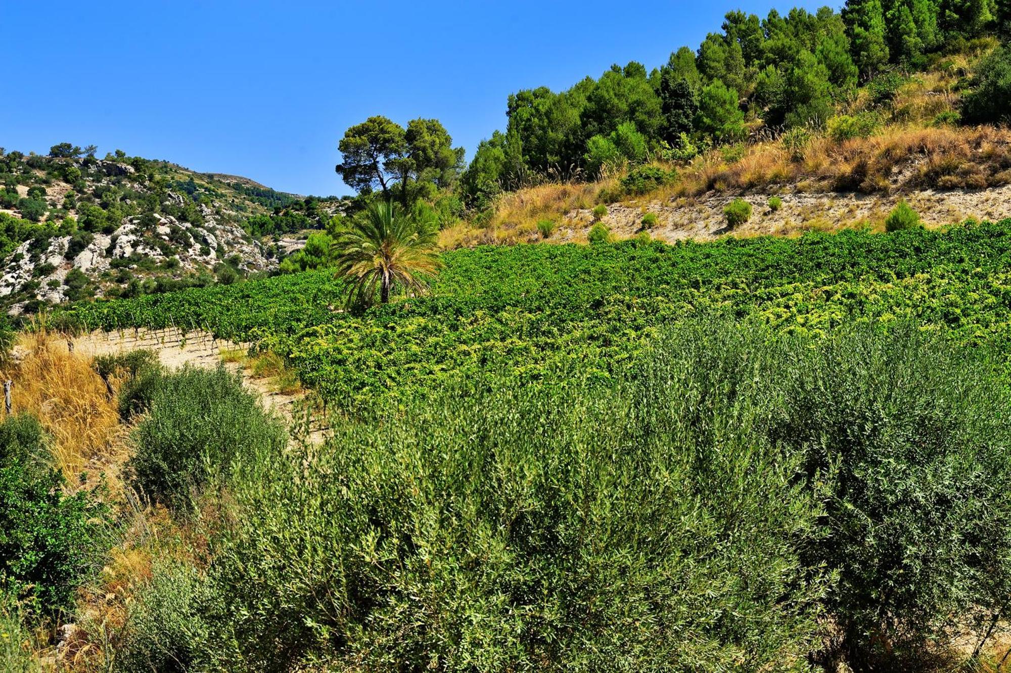 Kallikoros Country Resort & Spa Noto Exterior photo