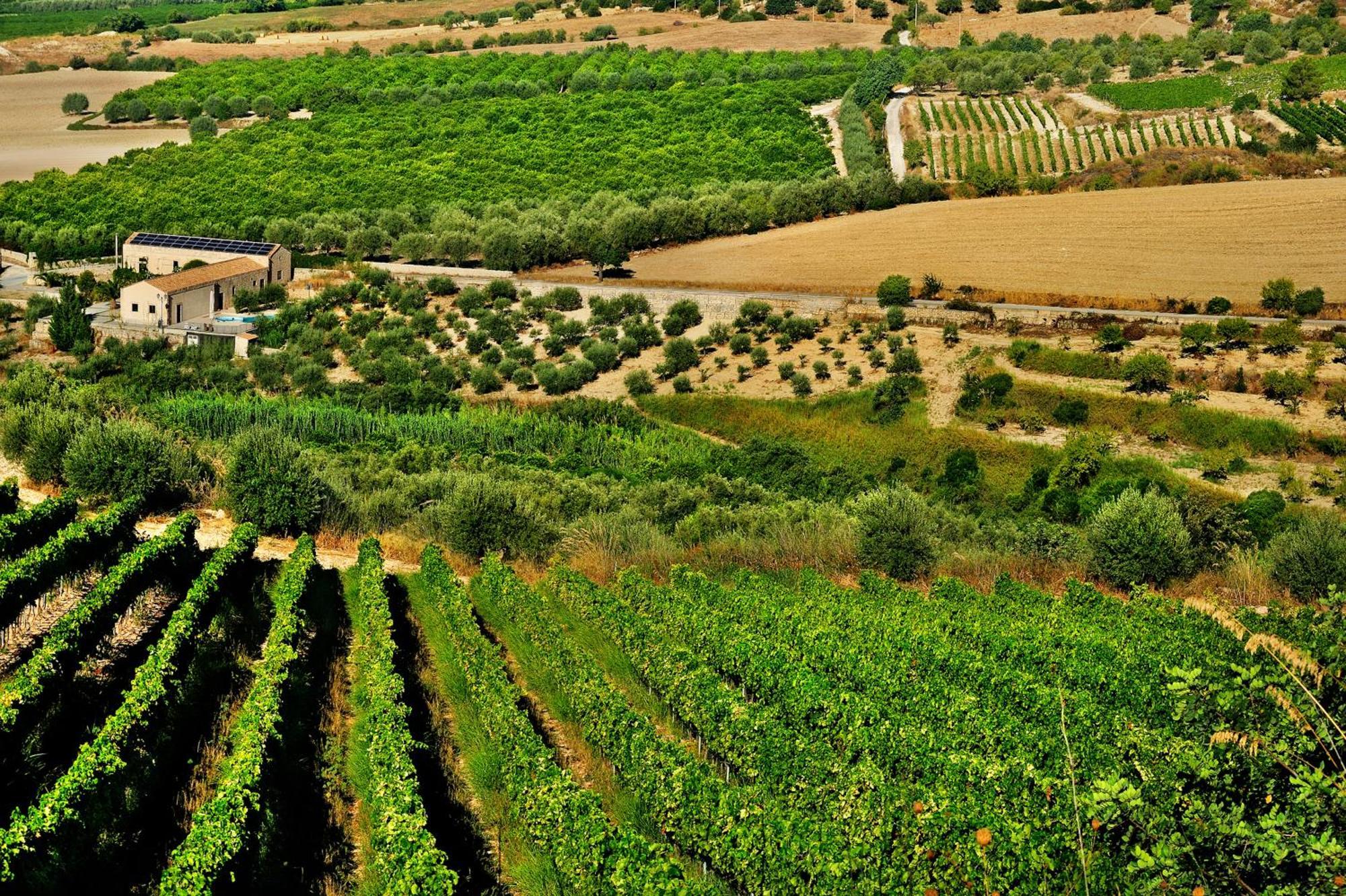 Kallikoros Country Resort & Spa Noto Exterior photo