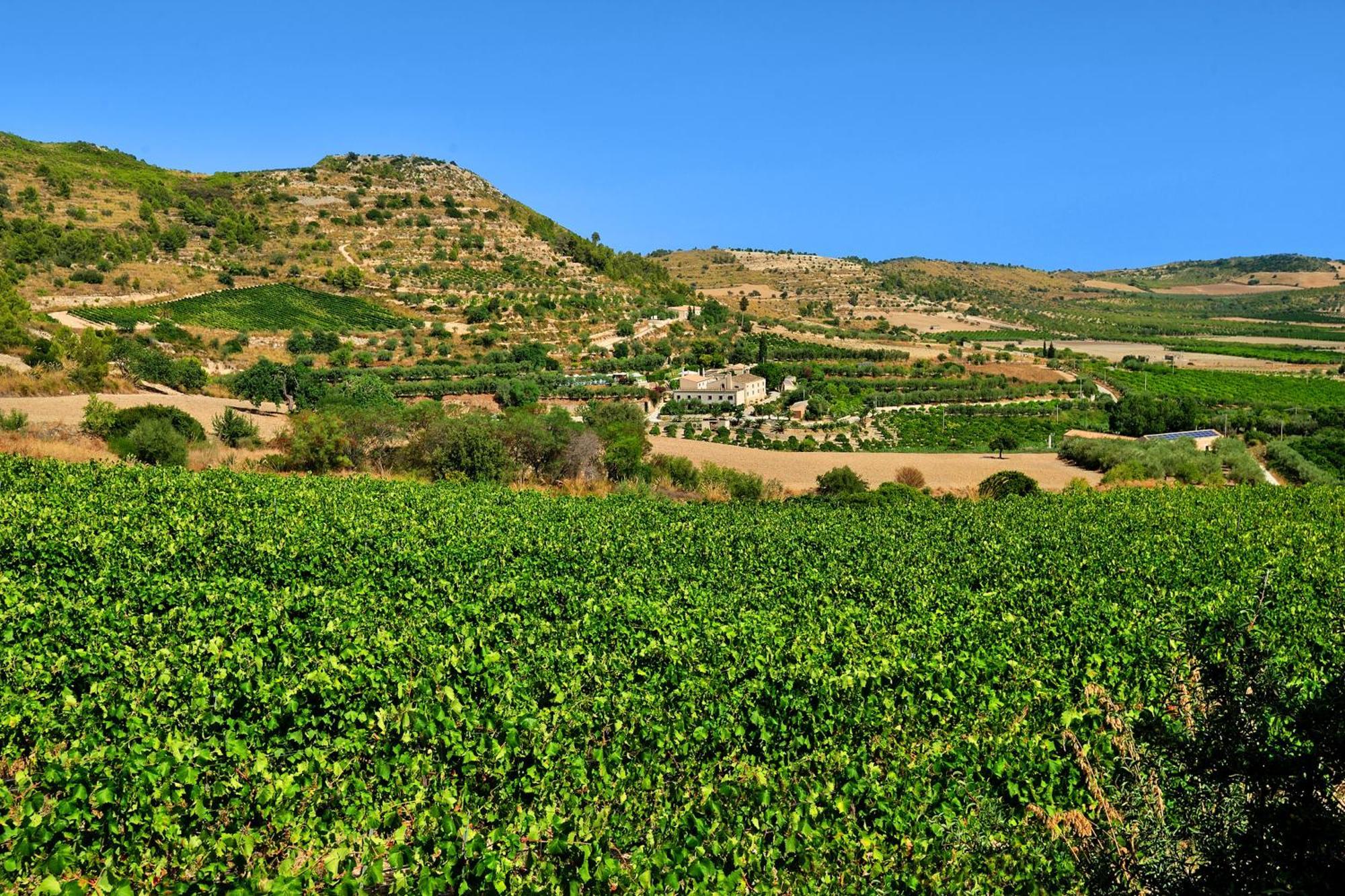 Kallikoros Country Resort & Spa Noto Exterior photo