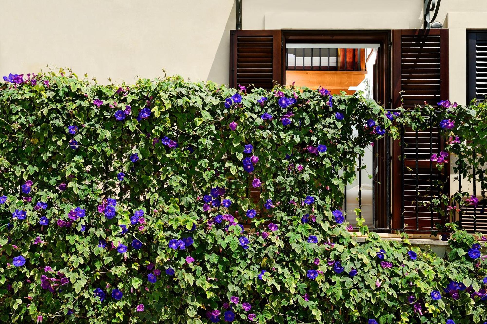 Kallikoros Country Resort & Spa Noto Exterior photo