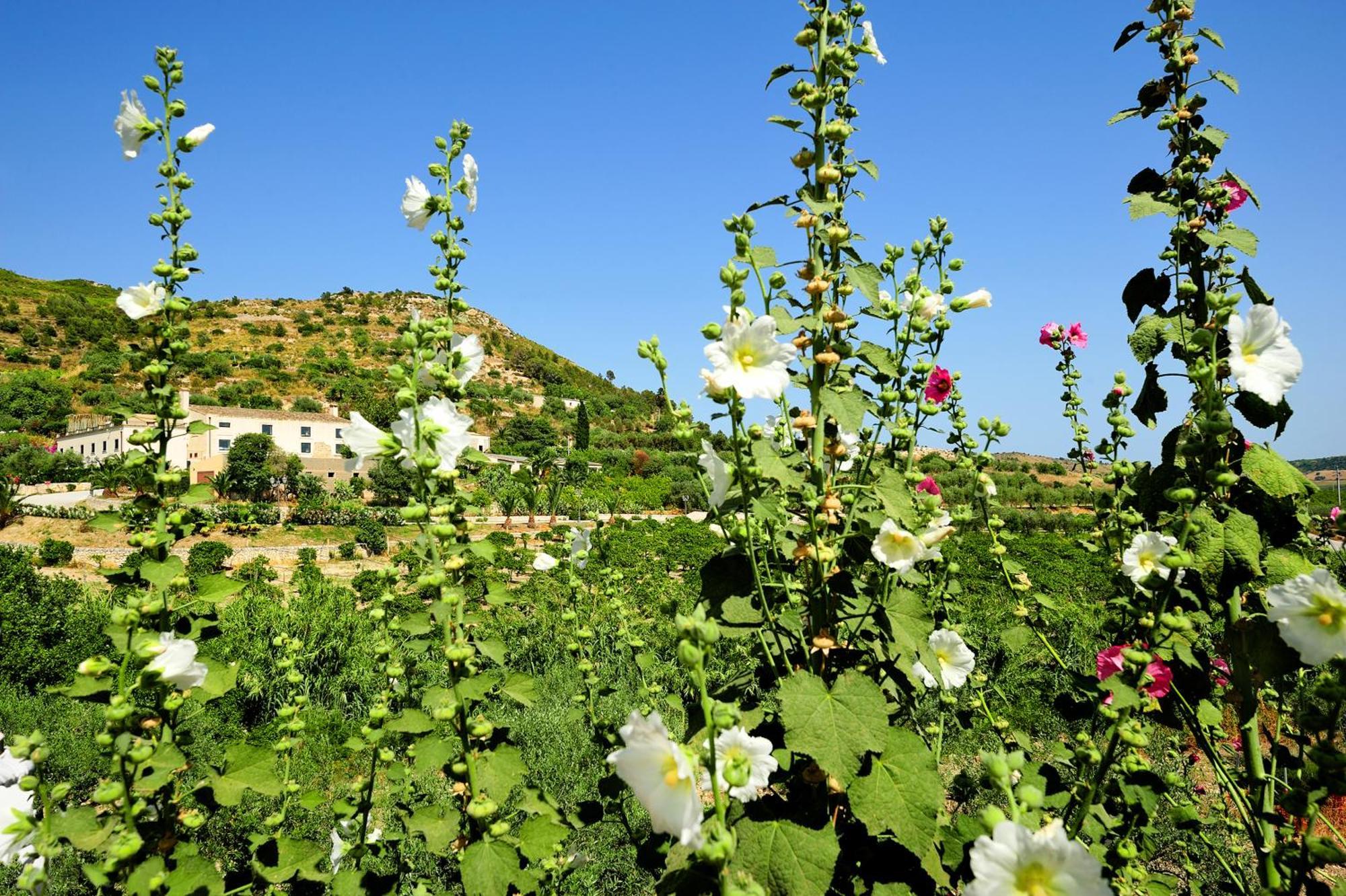 Kallikoros Country Resort & Spa Noto Exterior photo